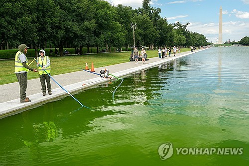 리플렉팅 풀에서 녹조 제거 작업하는 직원들