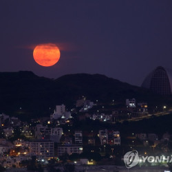 ‘블러드문’ 개기월식, 화요일 새벽 미 전역서 관측