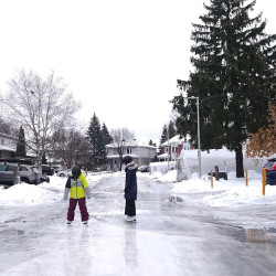 [인류연재]  새해와 감기