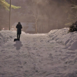 [보스톤코리아 칼럼 -인류연재] 삽질과 겸손