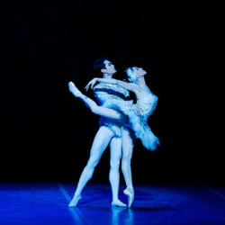 보스턴 발레, 이상민 수석무용수로 승급 발표…2026-27 시즌 무용수 …