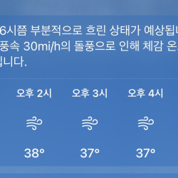 최고 시속 80마일 강풍 매사추세츠 강타, 3만여 가구 정전