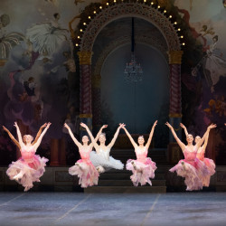 보스턴발레, 익명 후원자로부터 1천만달러 기부받아