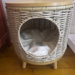 Cat Lounser Condo