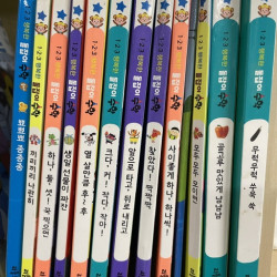 돌잡이수학 12권+ 프뢰벨 다중지능 Edu1 13권