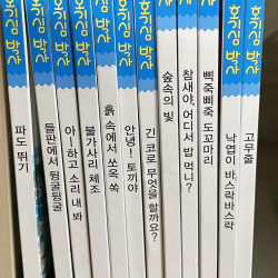 호기심박사 12권