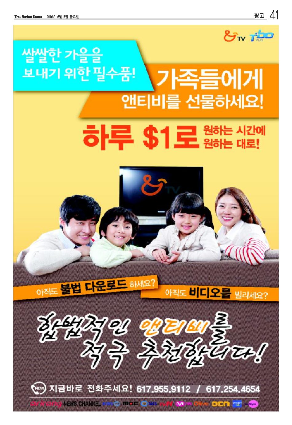 41면