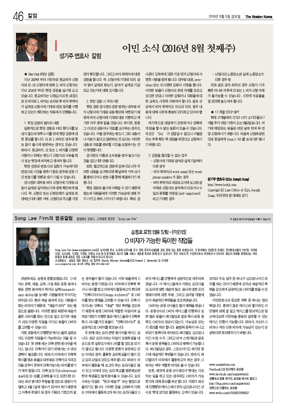 46면