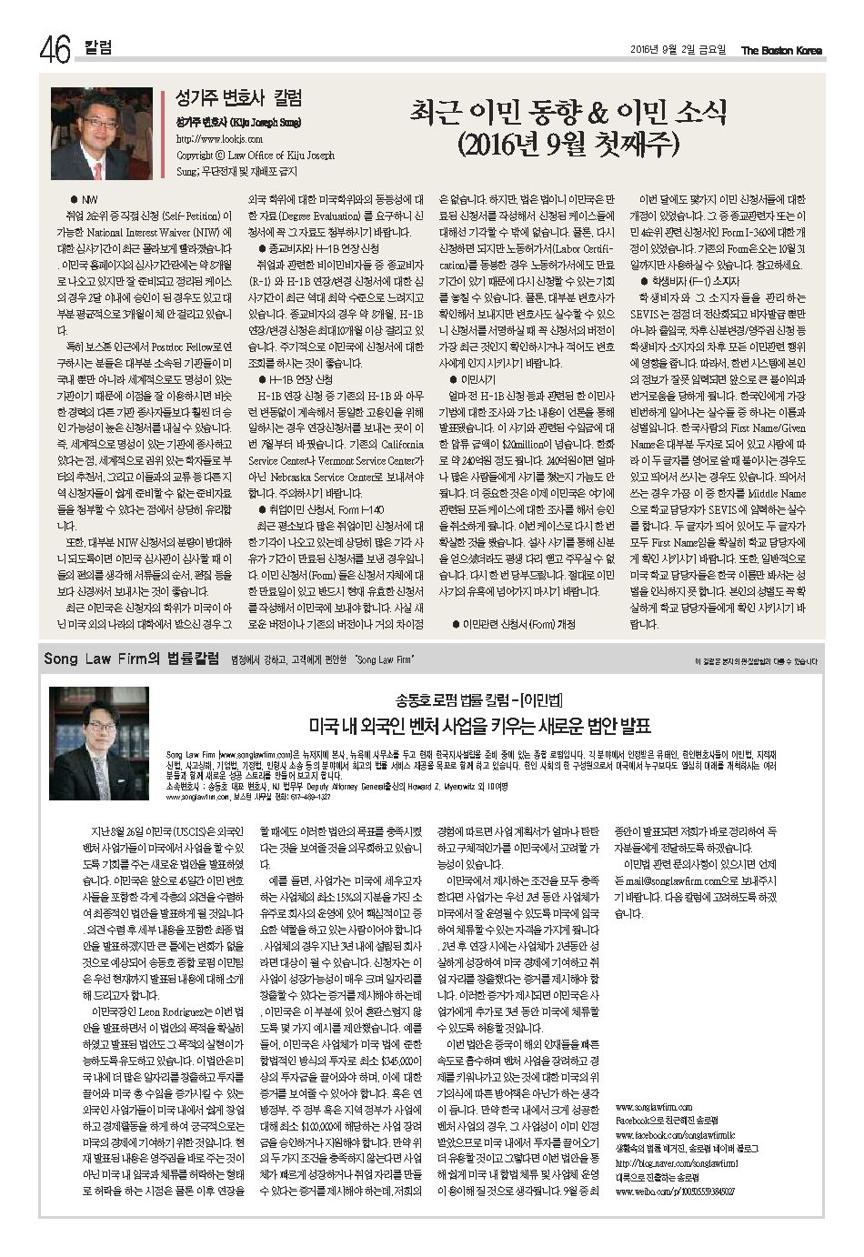 46면