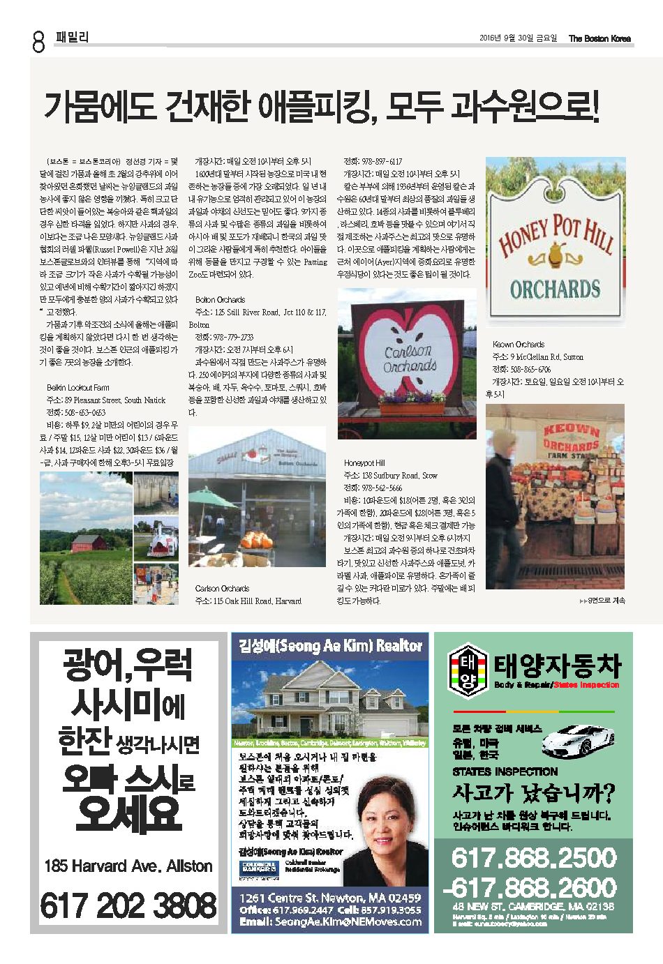 8면
